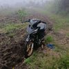 dii.purba