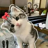 bonielgerlyn18
