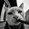 hussenyusuf3