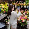 Kim Anh