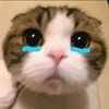 rniia_