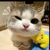 anhnthu16