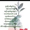 ko.thet741