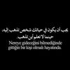 malek18826