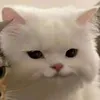 mine.