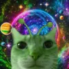 kt.mimiwz._