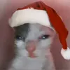 jp_sla..0