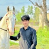 rajashahzaib3777