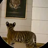 user84dd6yy9zh