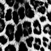 accountsfogo_secret348