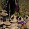 claphampugs