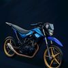dtblues5