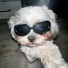 eric_iscool_17