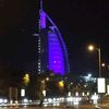 saso_seso235