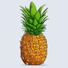 ananas._ananas