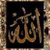 user9072116192248