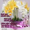 wilzahshukira
