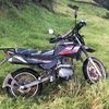 erikquito593