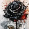 54blackrose