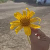 mommymina98