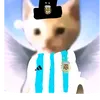 miguel_insan0