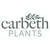 🌸Carbeth Plants🌸