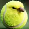 unbankwol