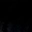 damir_5oo