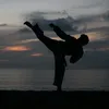 taekwondo1.00