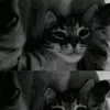 silaa_099