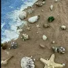 joanna_0990