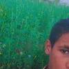 sifo_ux