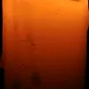 mistershopper24