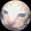 nqt202_