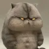 idtaibeobo
