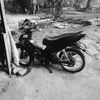 pandol_96