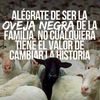 oveja.negra946