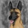 barnyy.dog