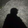 who_fallzzz