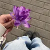amli8