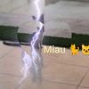 milimiau19