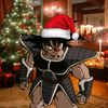 turles_glazer1