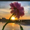 user6c6c93rton