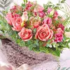 damer1993mailru