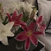 vmm16_77
