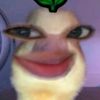 marianogales73
