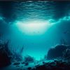 aqua_haven114