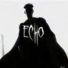 echoedits508