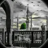 jaber343