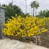 nguyennancy0